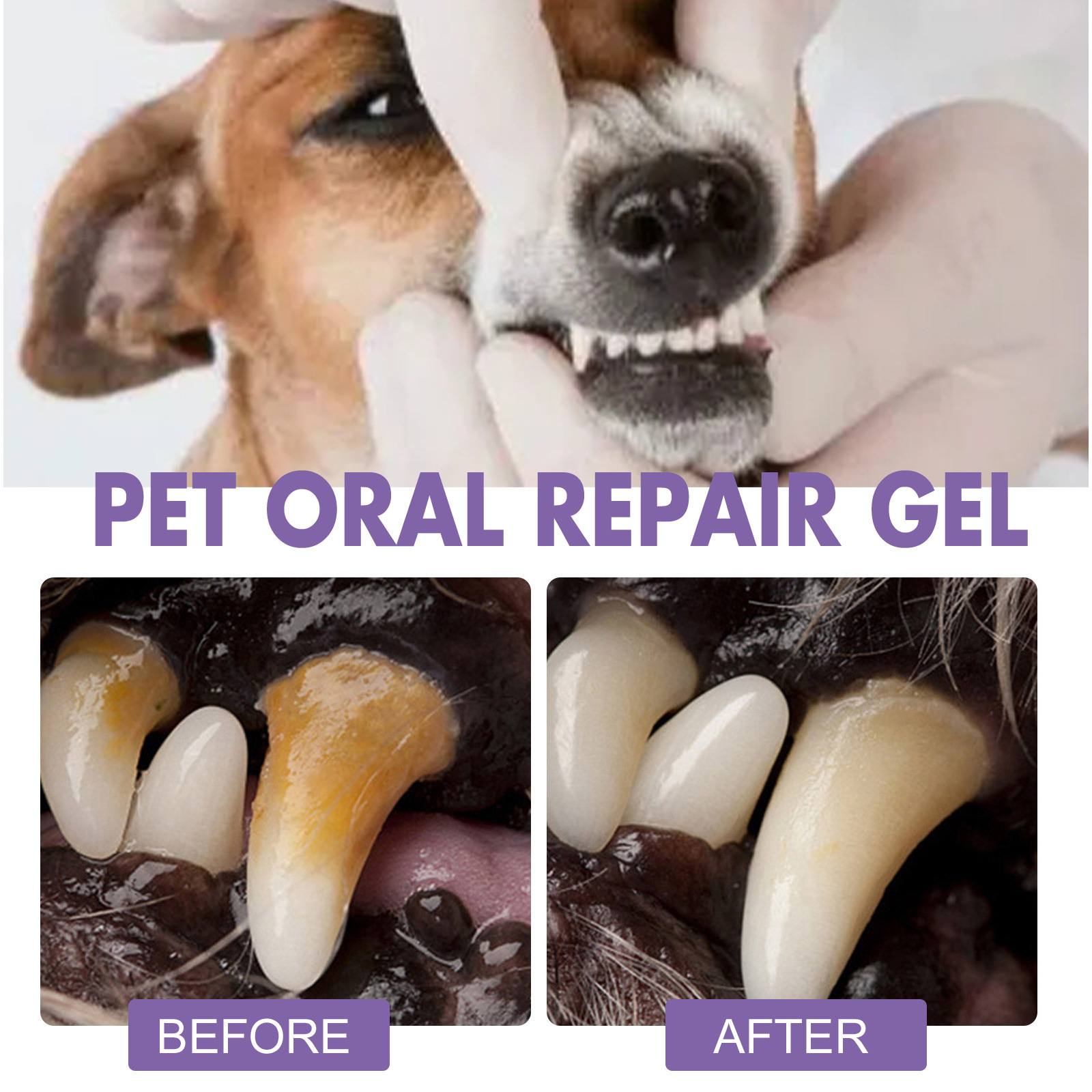 สัตว์เลี้ยง Oral Repair GEL Pu - Teeth Whitening Groupon บทวิจารณ์และราคา
